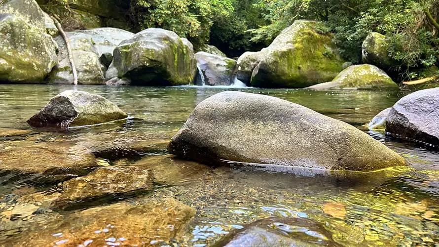 Pristine, clear water of a creek in Great Smoky Mountains National Park