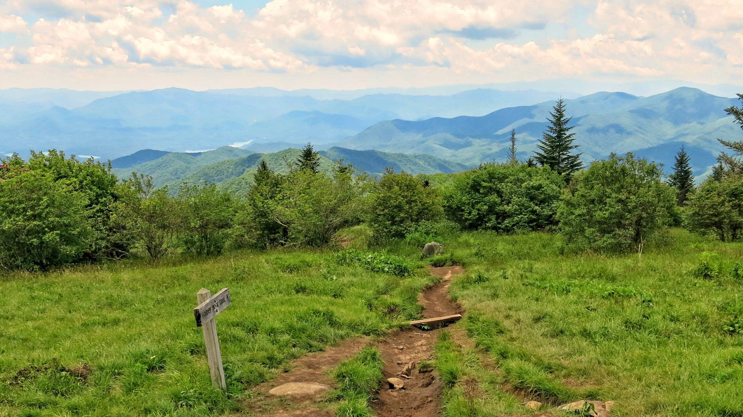 Andrew's Bald Trail, near Clingman's Dome, Great Smoky Mountains National Park, Tennessee