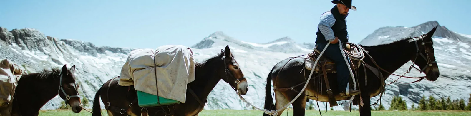 Horsepacker in the Sierra Nevada Mountains