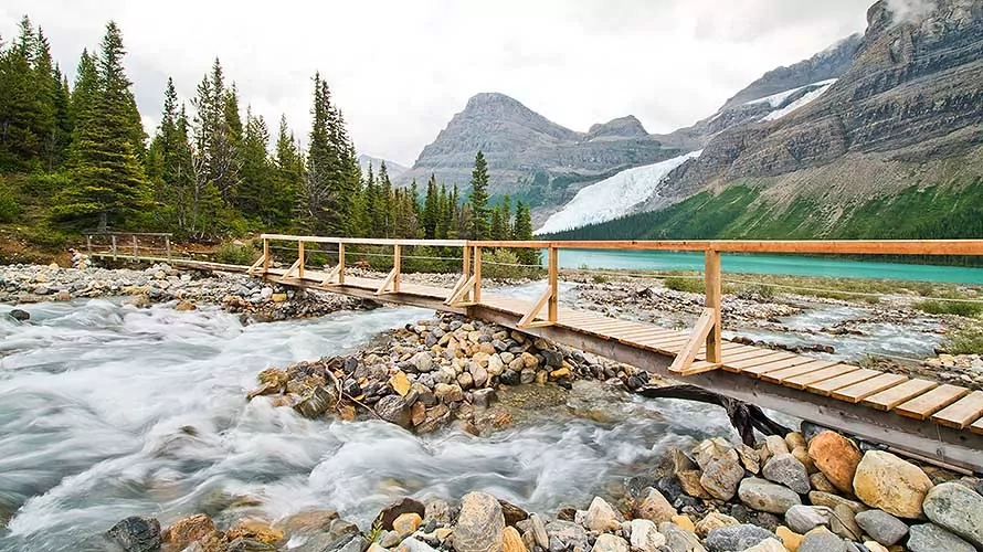 A beautiful trail next to robson river and lead to Berg lake
