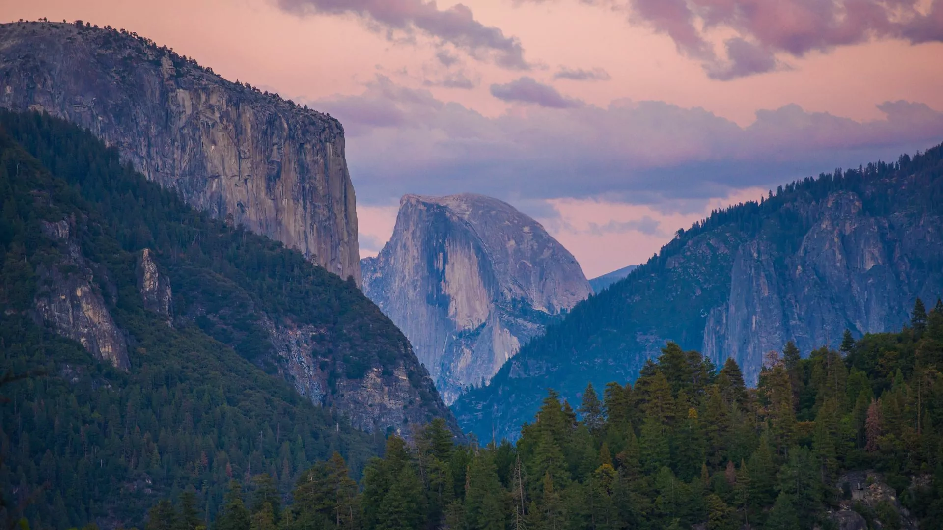 The profile of half dome stands in the distance at Yosemite National Park