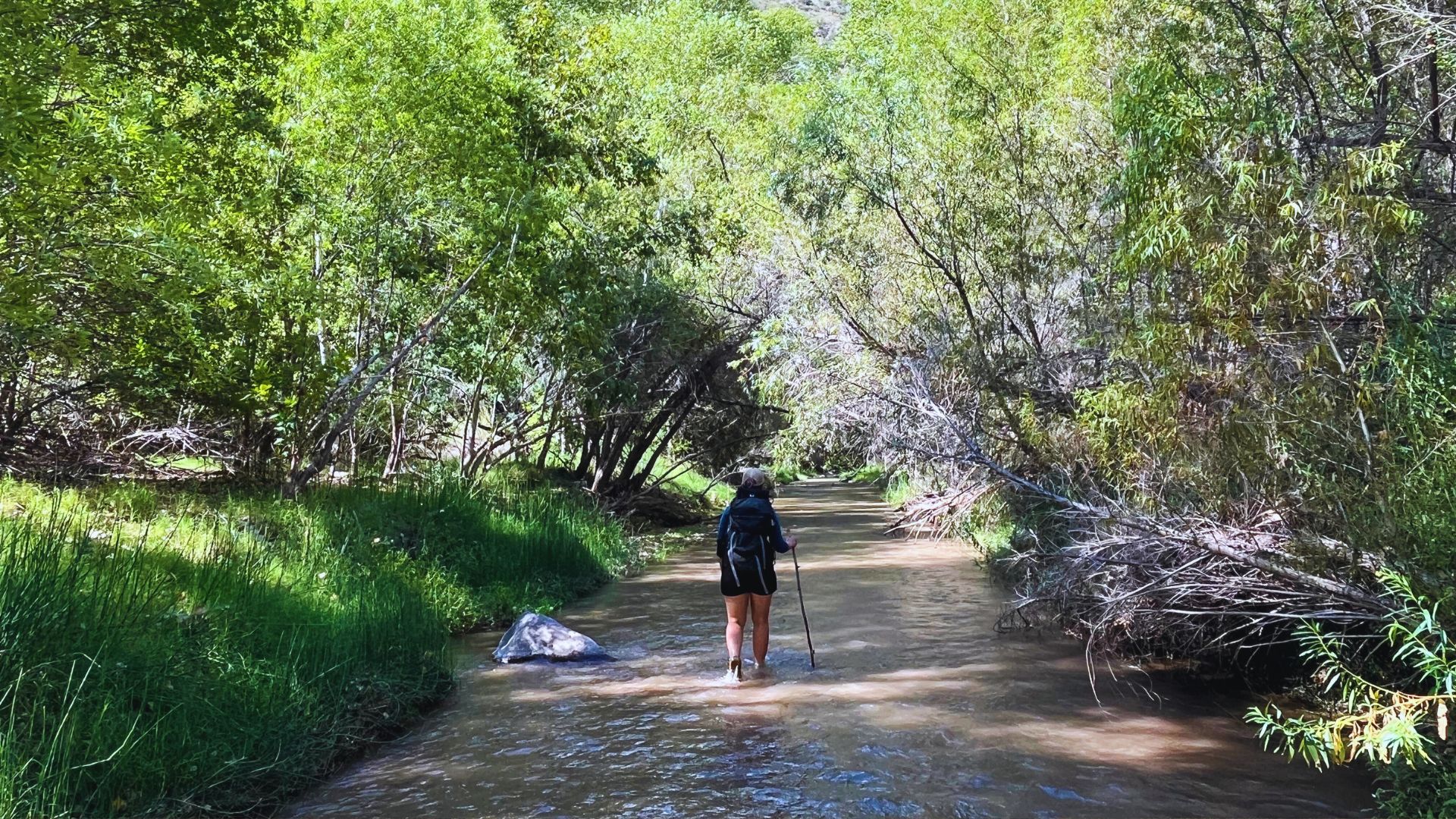 A backpacker walks through water in Aravaipa canyon