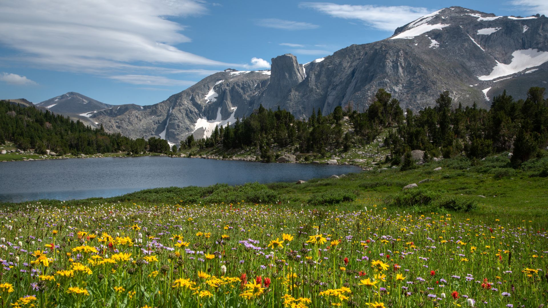 The cirque of the towers rises out of a field of wildflowers