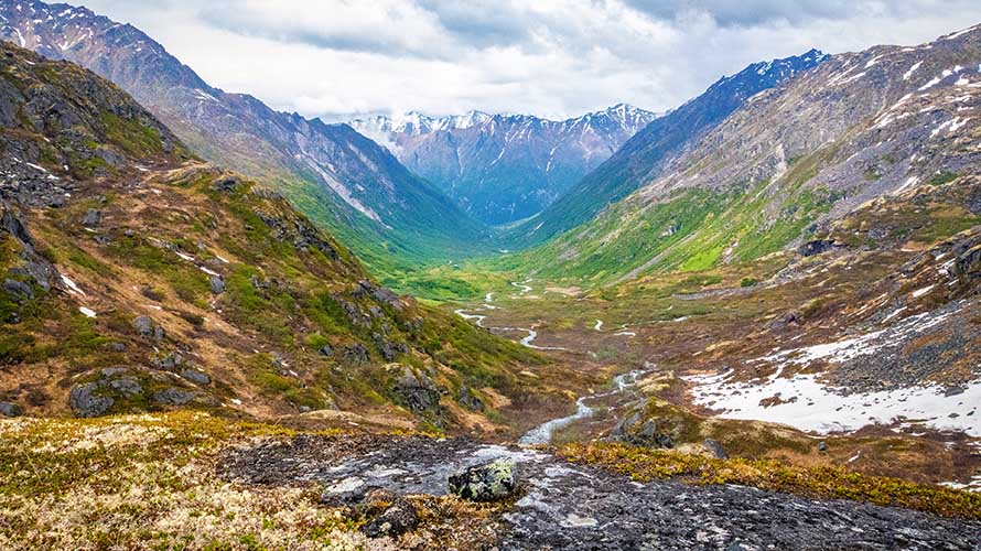 between snowbird and bomber glacier