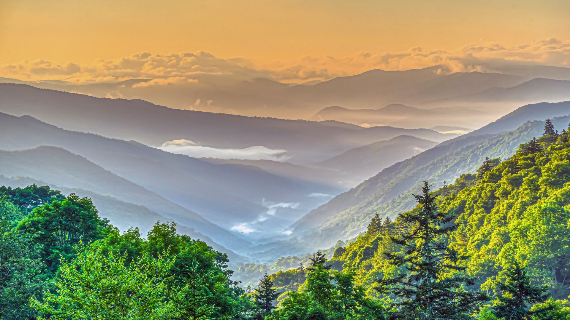 Mist rises from the forested peaks of the smoky mountains