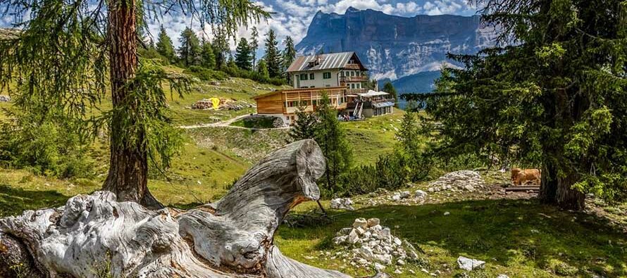 Backcountry hut in the subalpine zone in the Dolomites