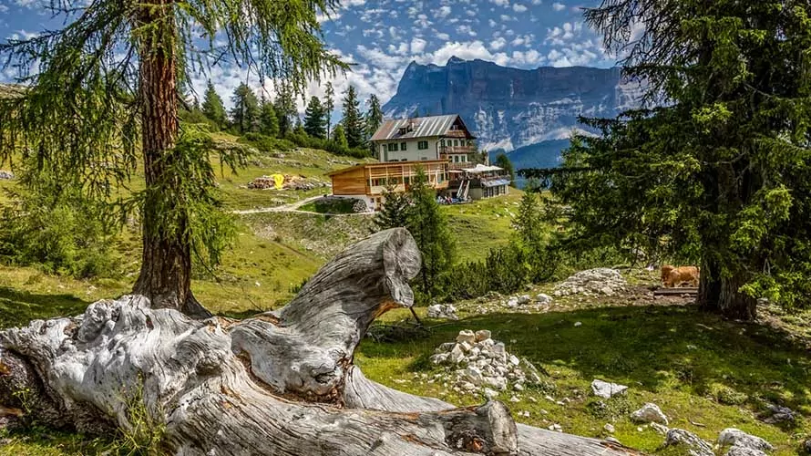 Backcountry hut in the subalpine zone in the Dolomites