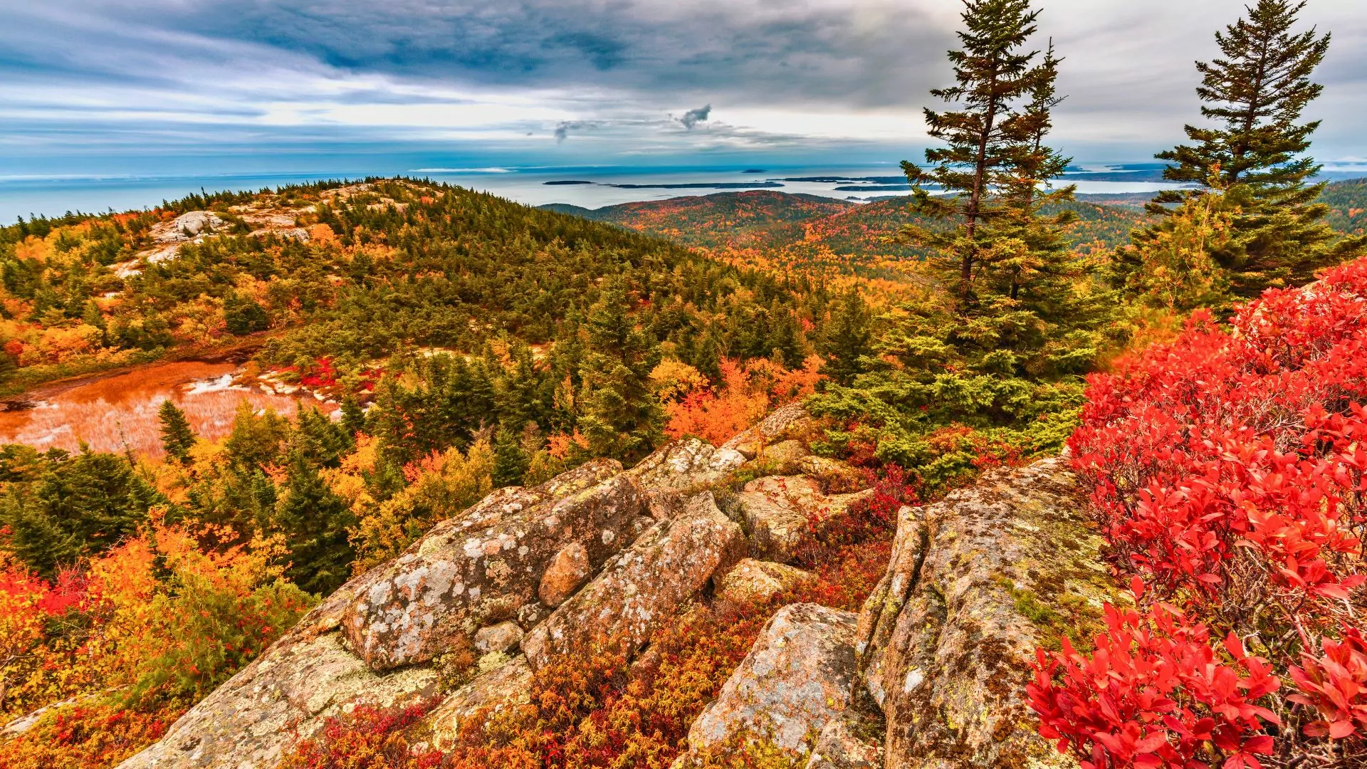 Colorful foliage stretches over rocky peaks at Acadia National Park