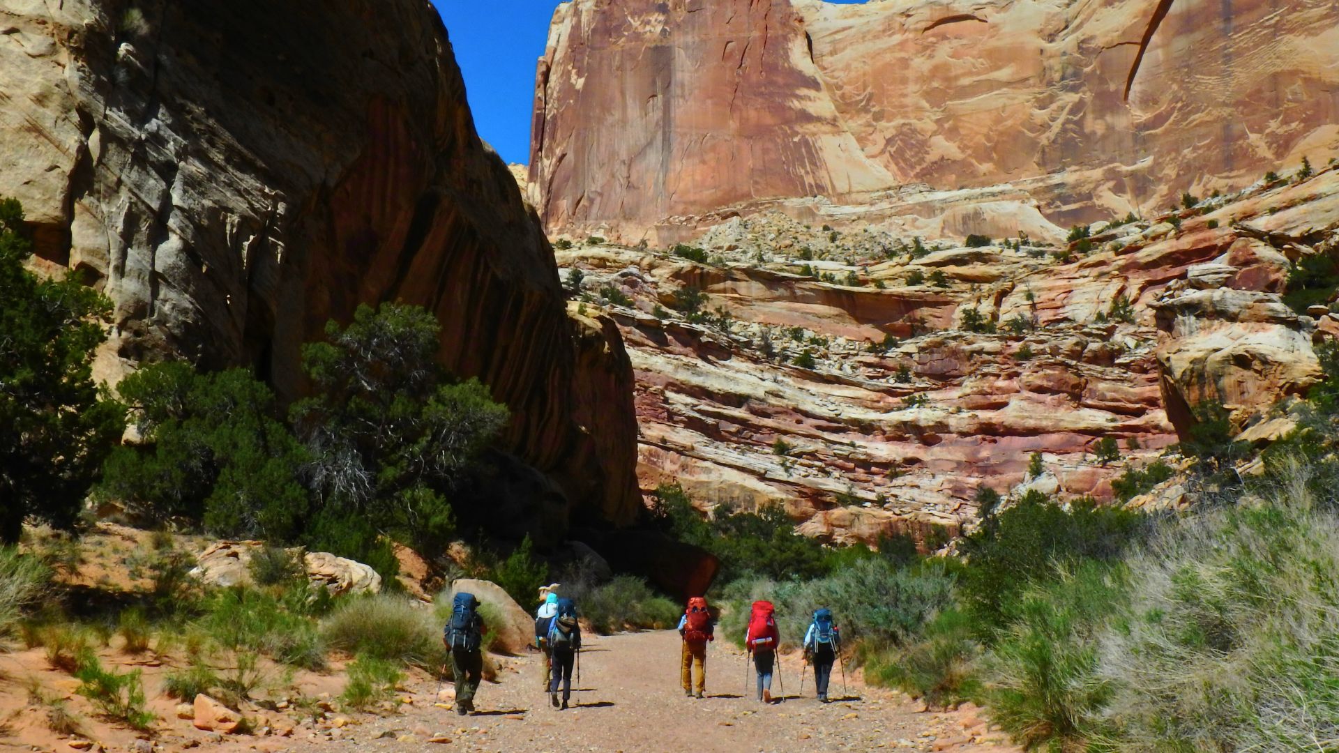 Five people backpack in capitol reef national park