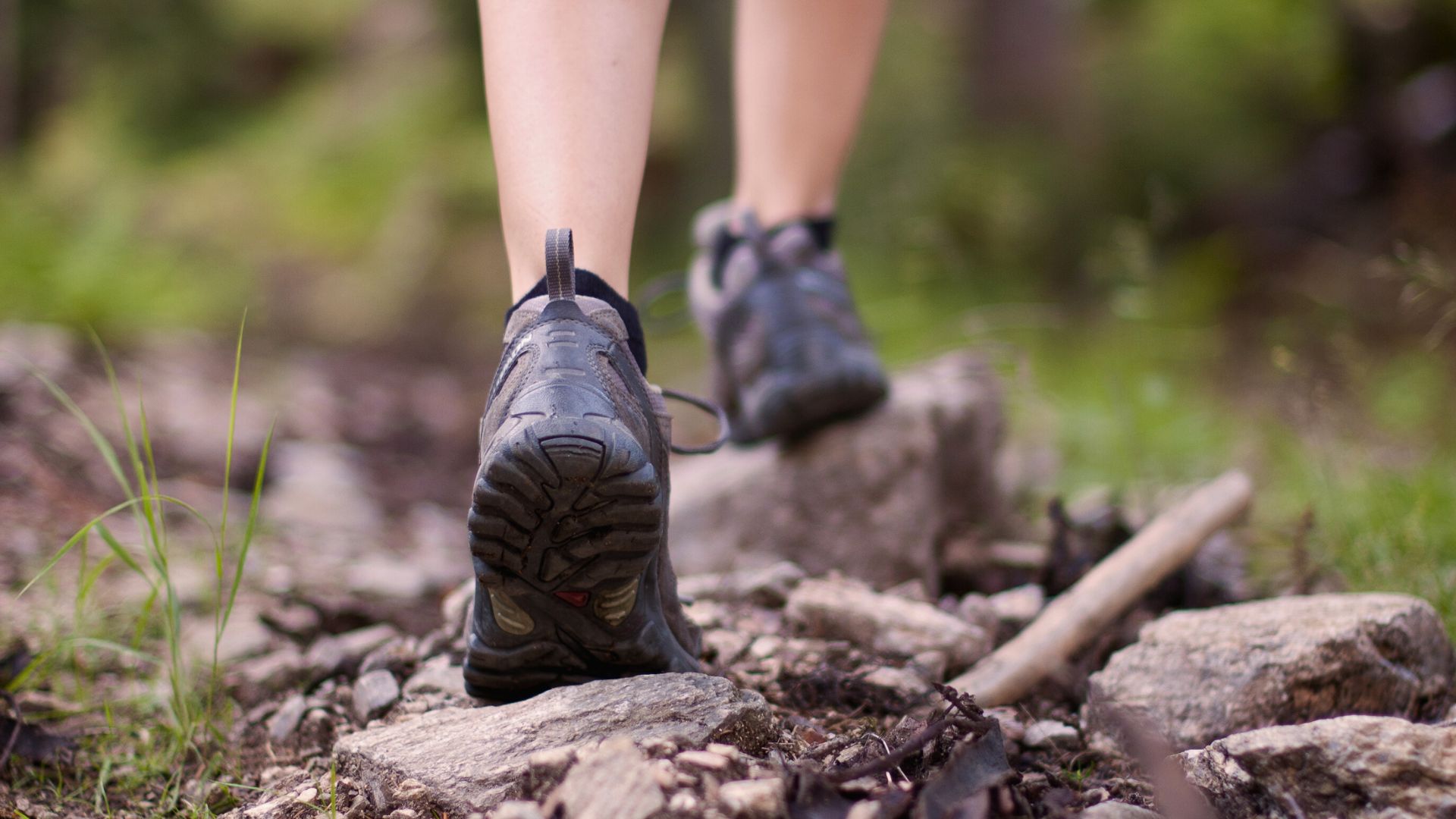 A hiker steps on the trail with hiking boots