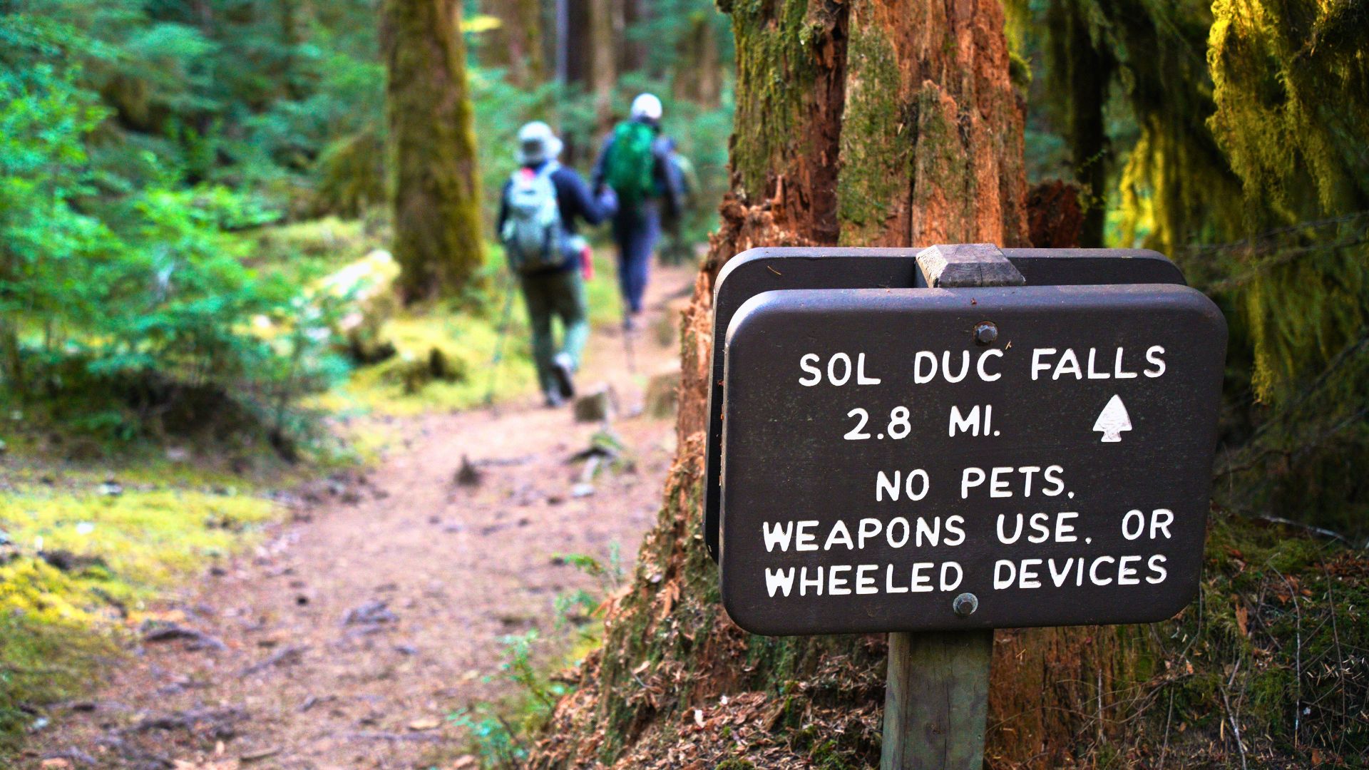Two hikers pass a trail sign in the woods