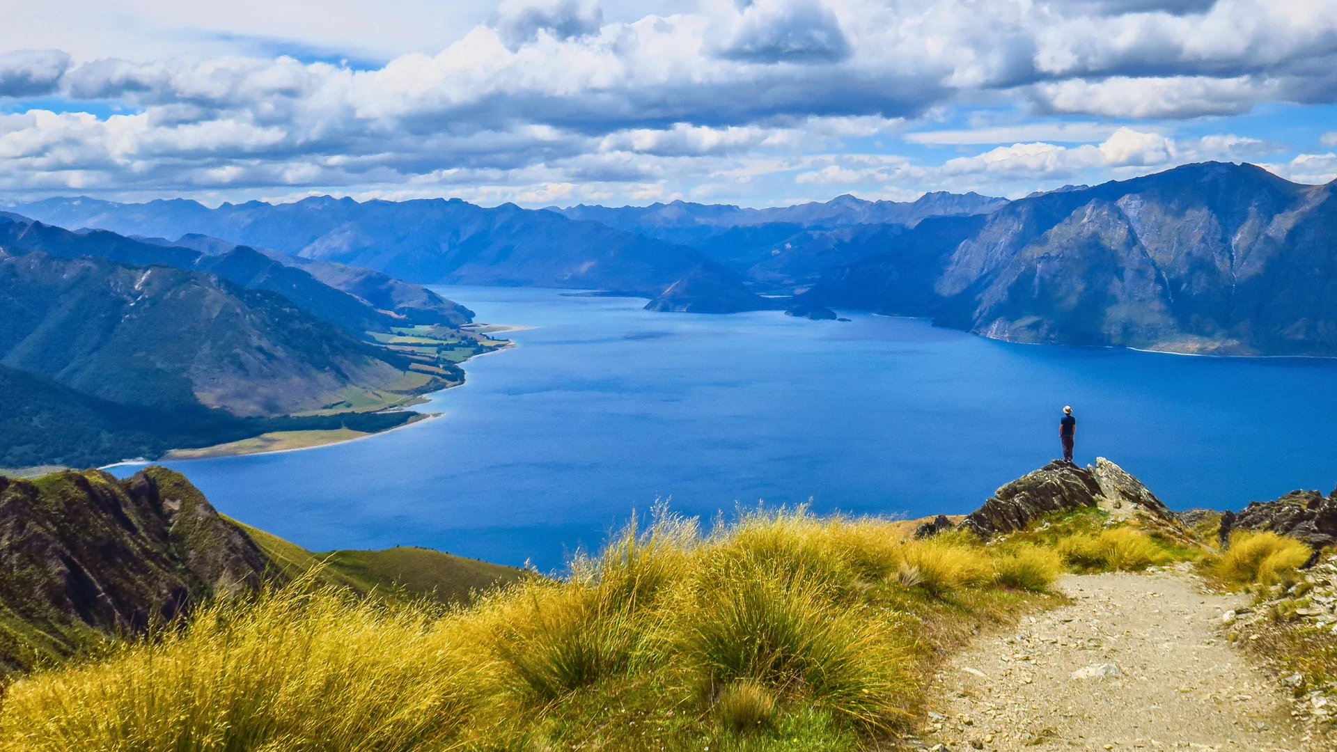 A traveler sits in the distance looking out at a view of grass and ocean in New Zealand