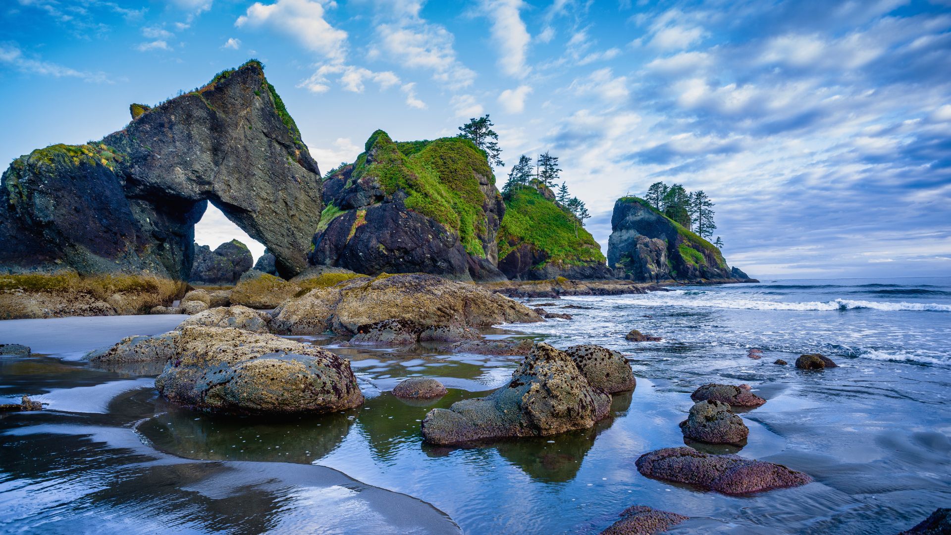 Moss covered rocks along the shore of Olympic National Park