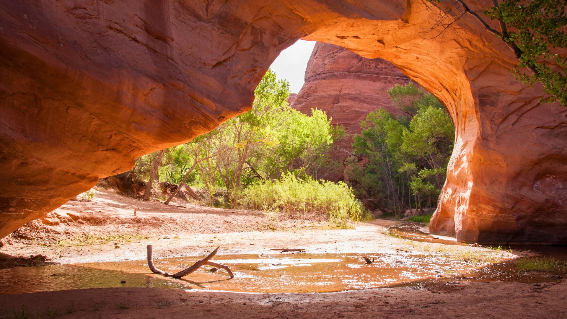 Coyote Natural Bridge, Coyote Gulch in Utah