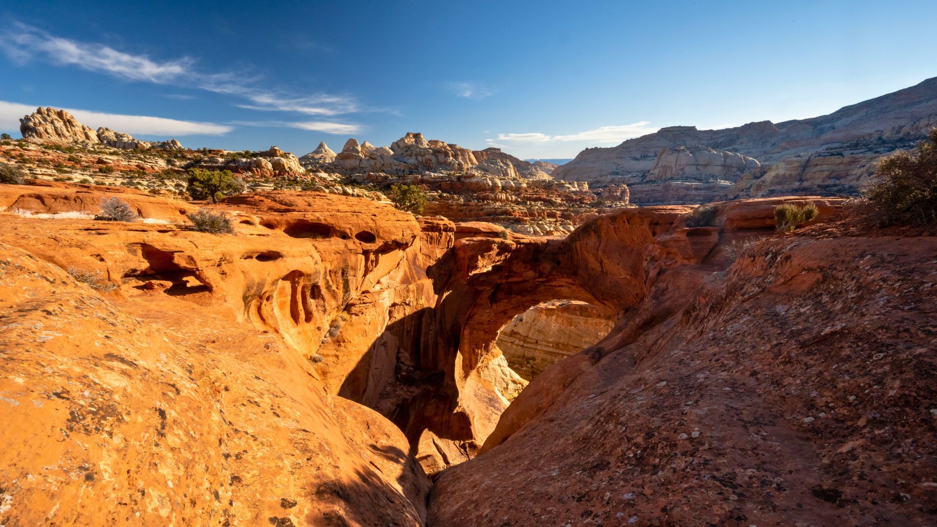 Cassidy arch in capitol reef national park