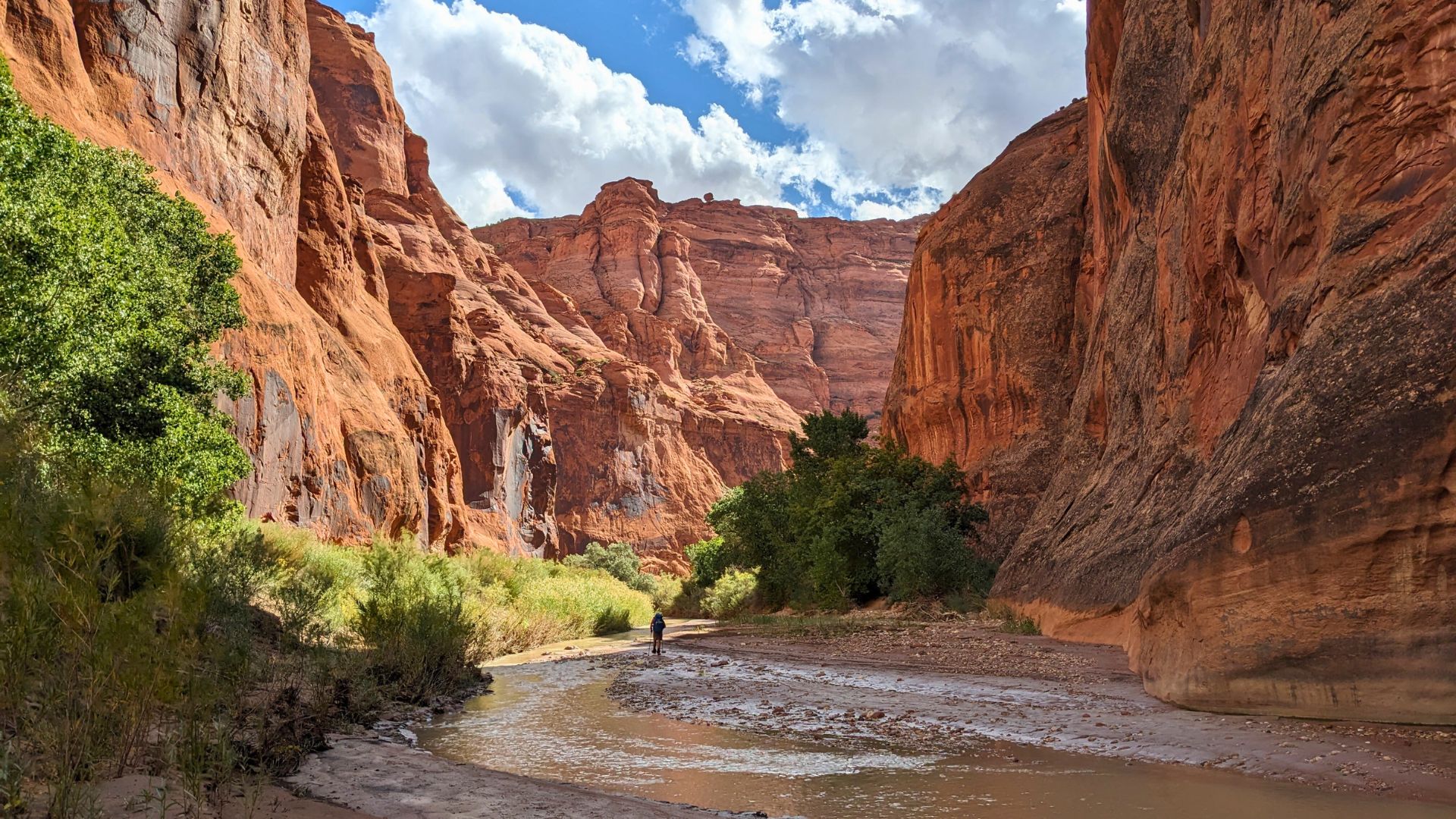 Paria Canyon-Vermilion Cliffs Wilderness
