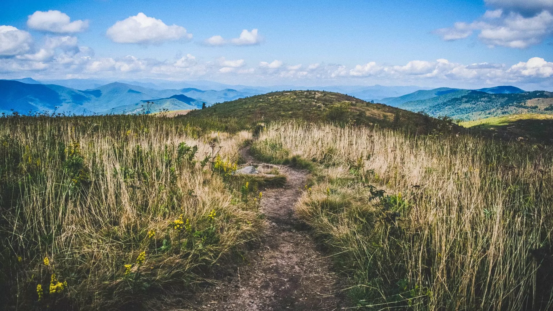 Shining rock wilderness