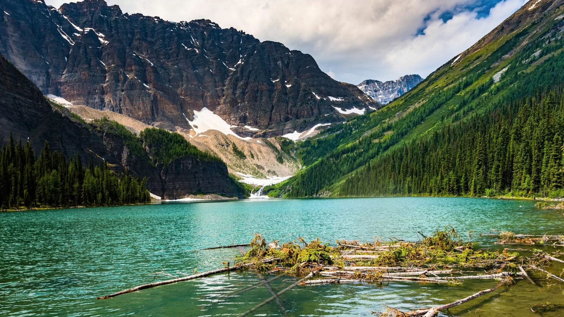Taylor Lake Banff National Park