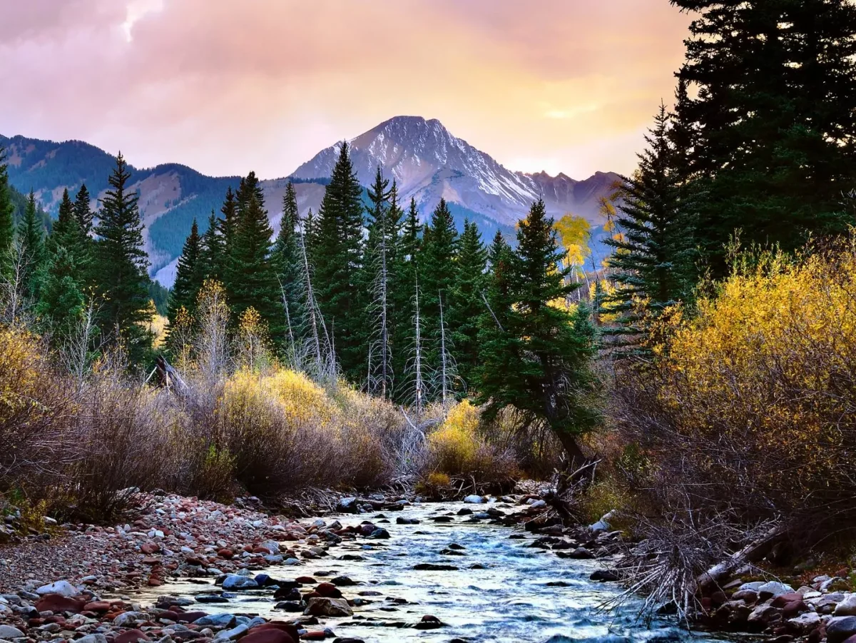 Wilderness area|Ansel adams wilderness||Goat Rccks wilderness|Paria Canyon-Vermilion Cliffs Wilderness|Shining rock wilderness