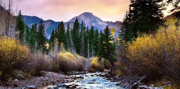 Wilderness area|Ansel adams wilderness||Goat Rccks wilderness|Paria Canyon-Vermilion Cliffs Wilderness|Shining rock wilderness