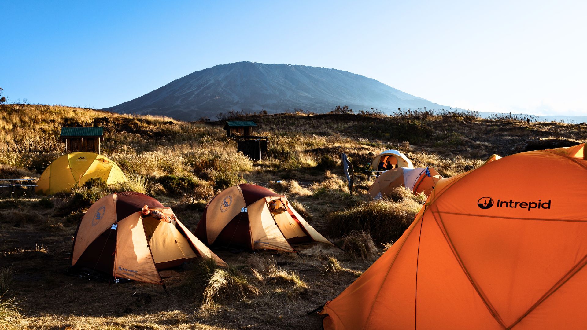 Tents set up on the way to Mt Kilimanjaro