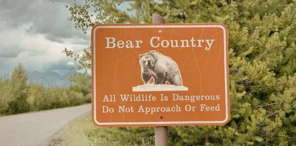 Bear country