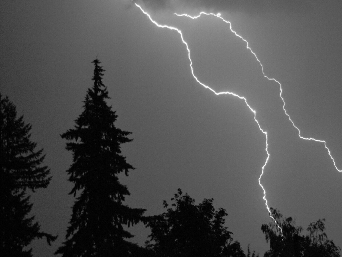Lightning strikes near some trees