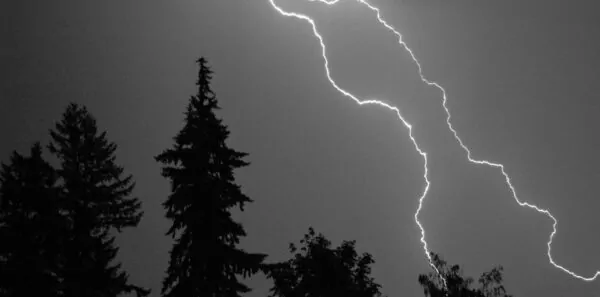 Lightning strikes near some trees