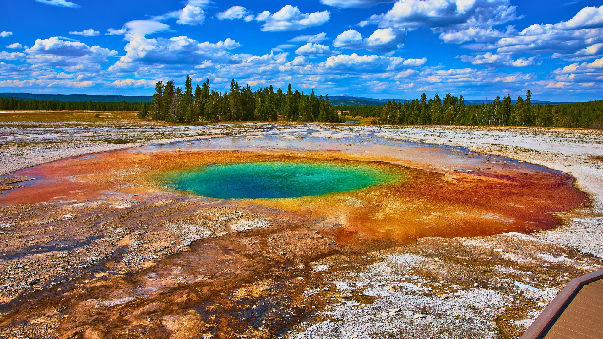Yellowstone hot springs