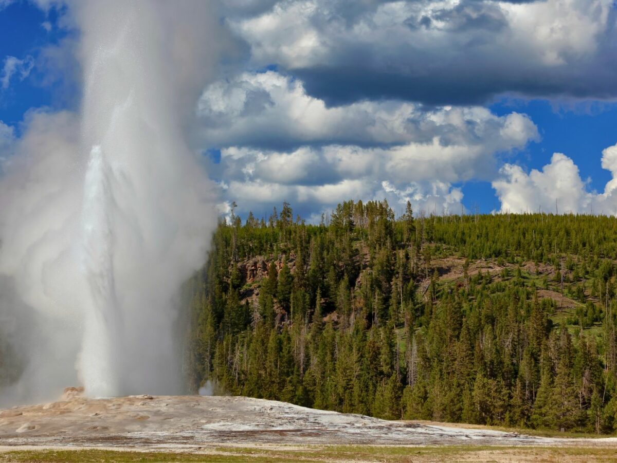 Geyser in yellowstone
