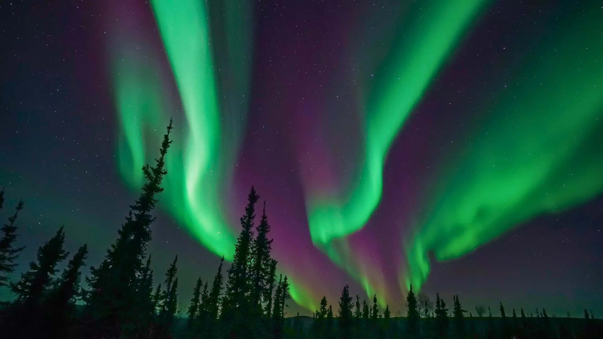 Aurora borealis in Alaska