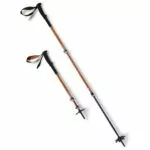 Black diamond trailback trekking poles