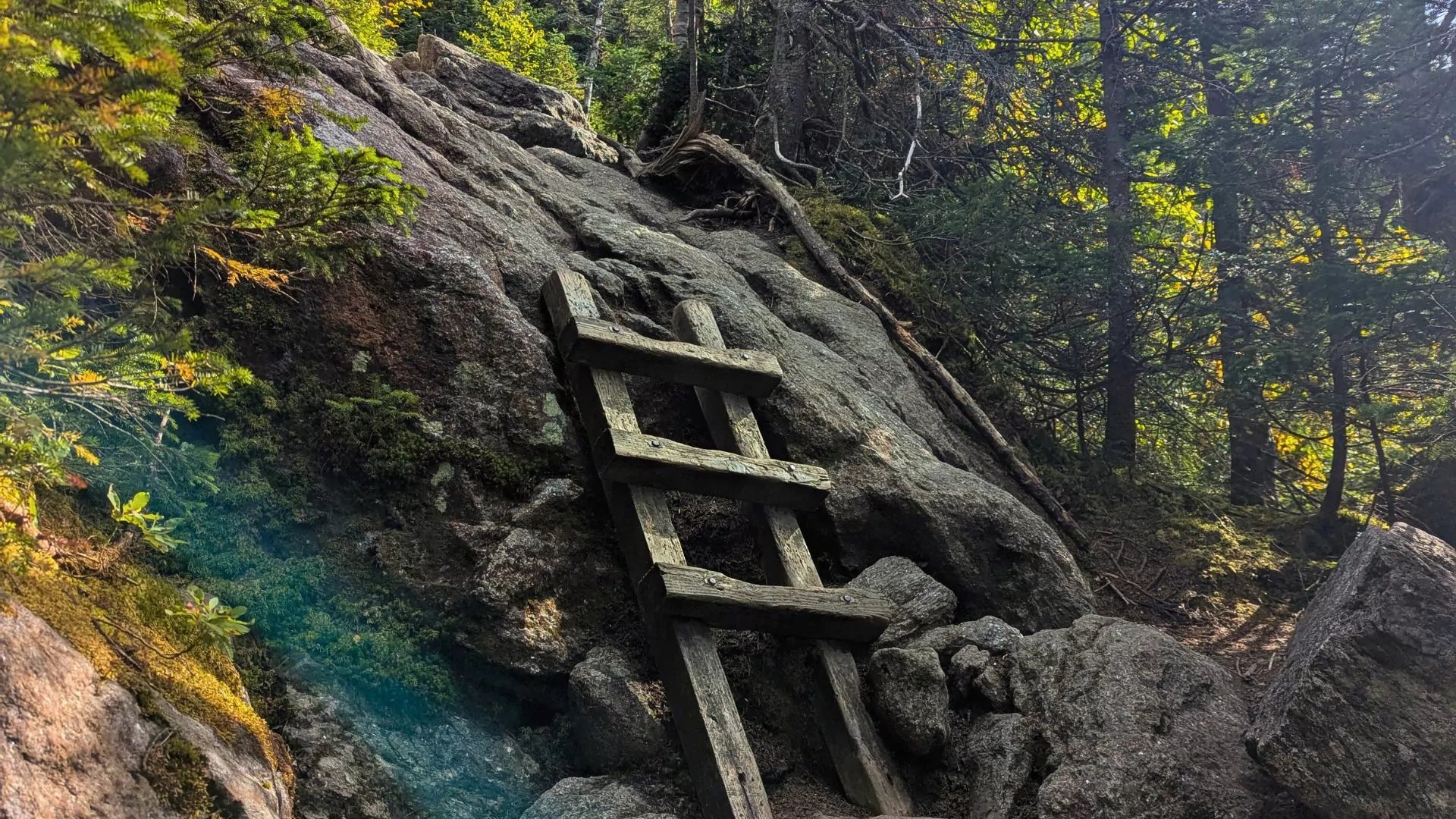 Ladder on New Hampshire hiking trail