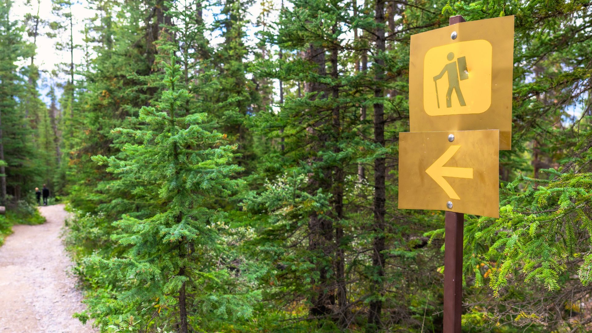 A trail sign in Banff National Park in Canada