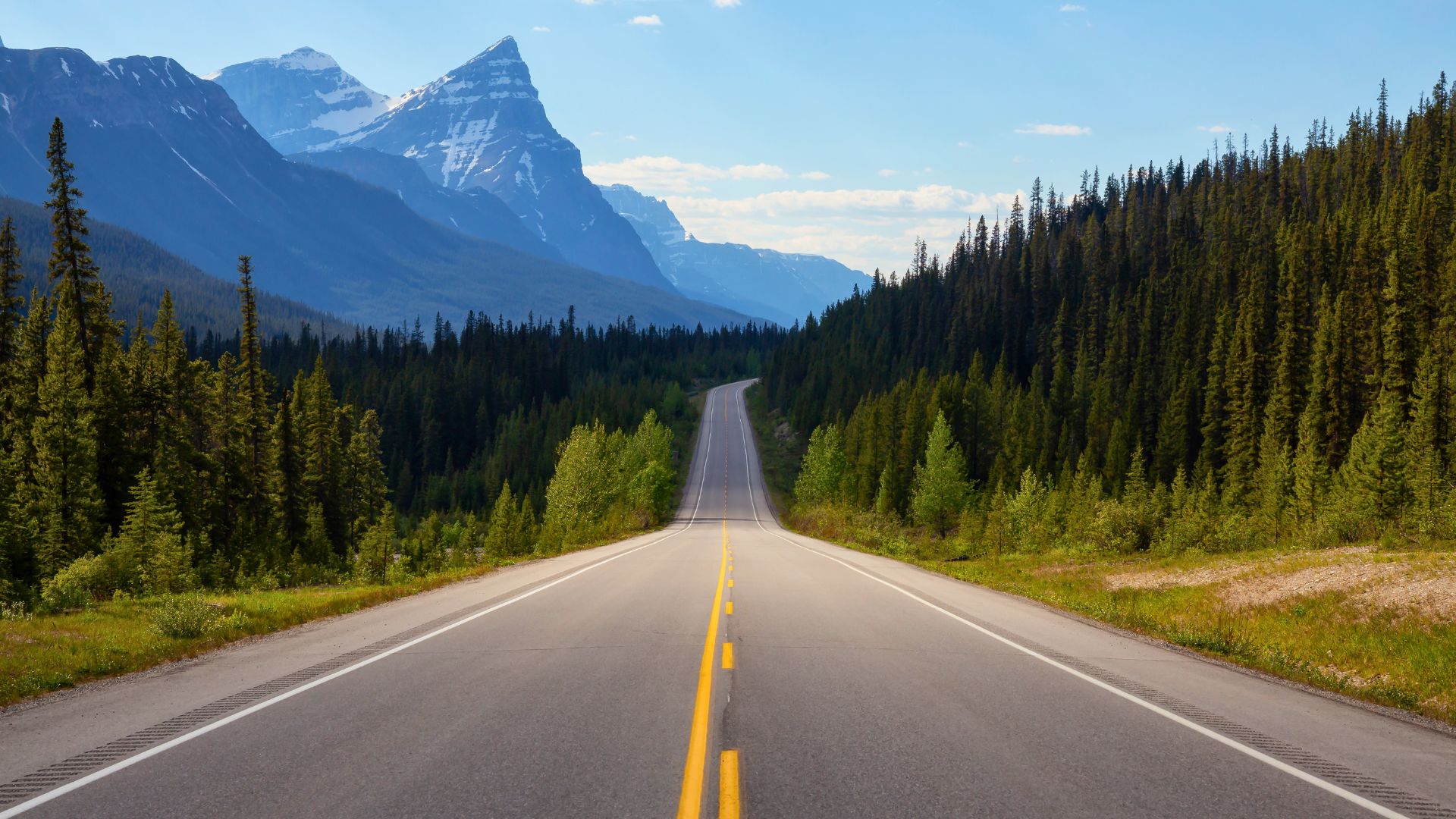 Road near Banff National Park in Canada
