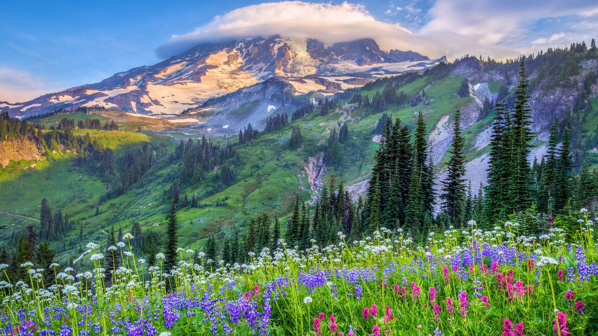 Mount Rainier