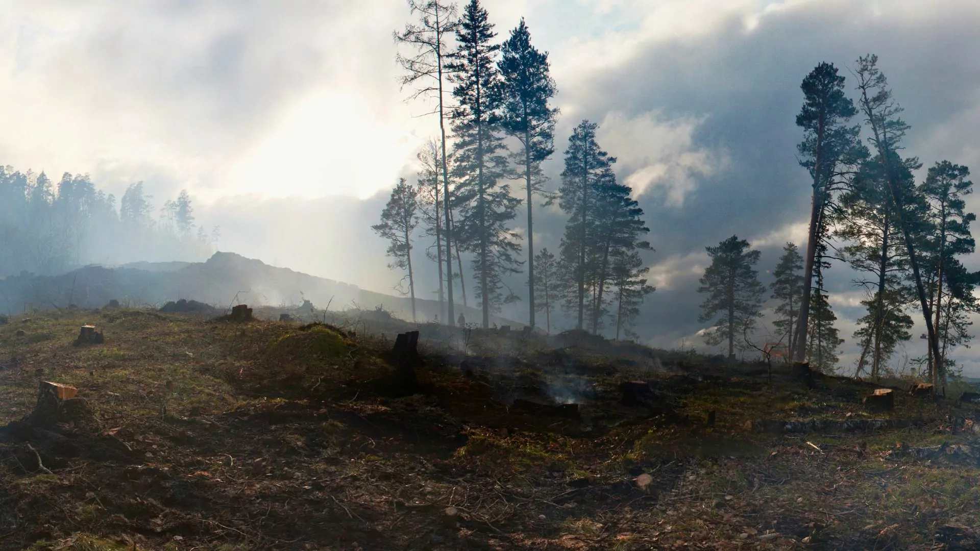 Wildfire smoke