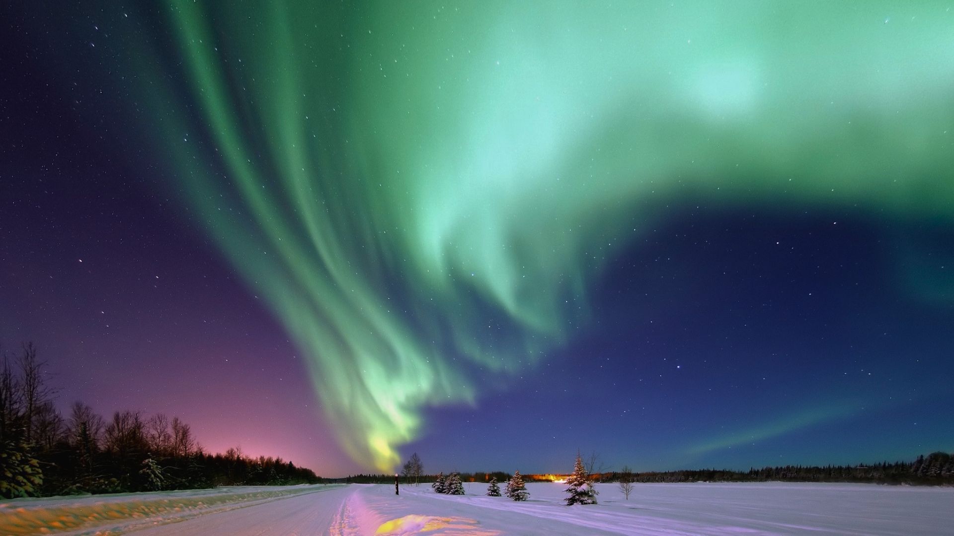 The aurora appears in the night sky in Alaska in the winter