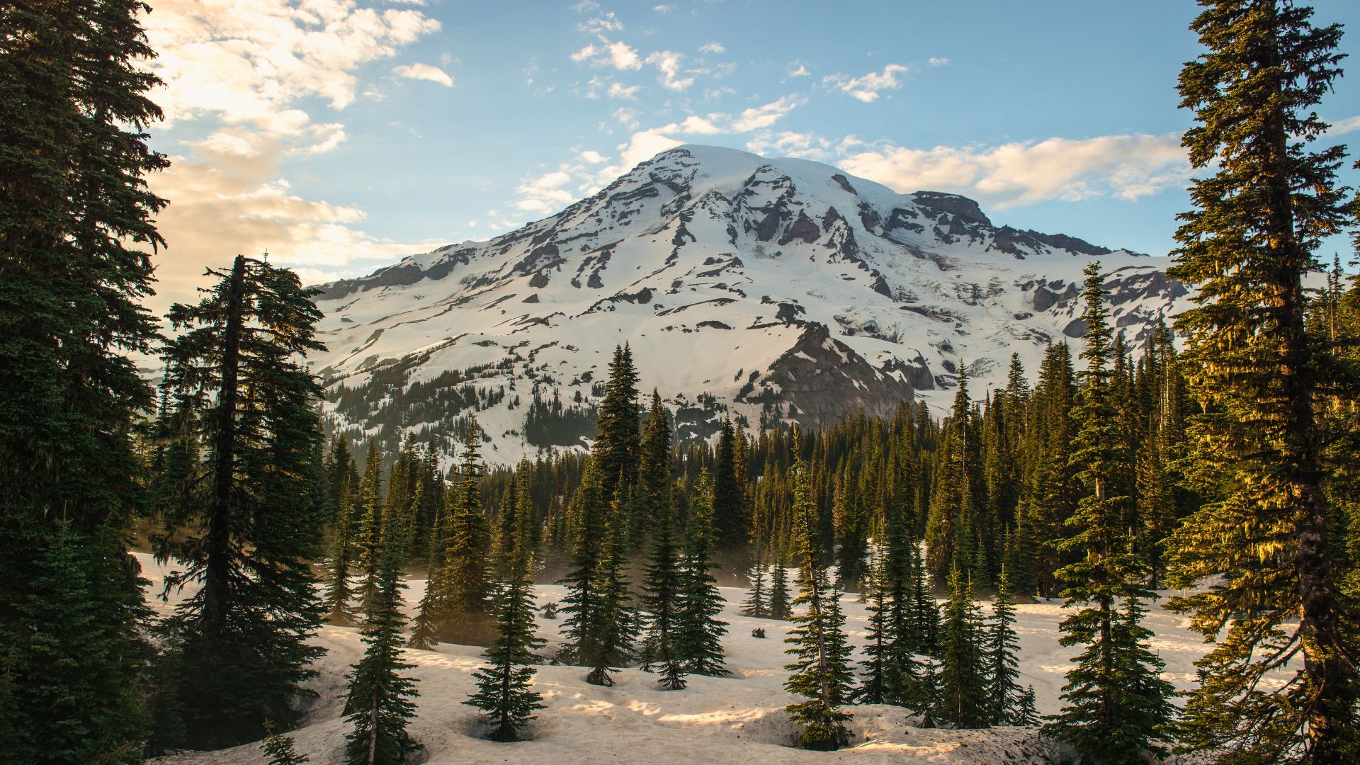 Snowy Mount Rainier in the winter