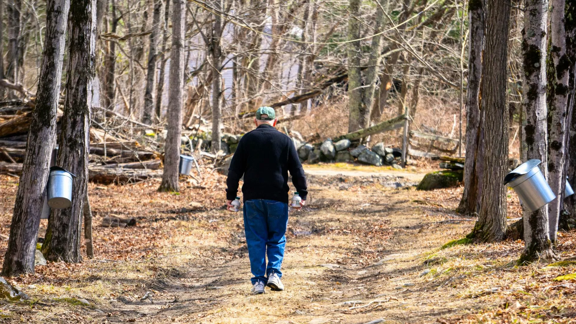 Vermont maple surgaring