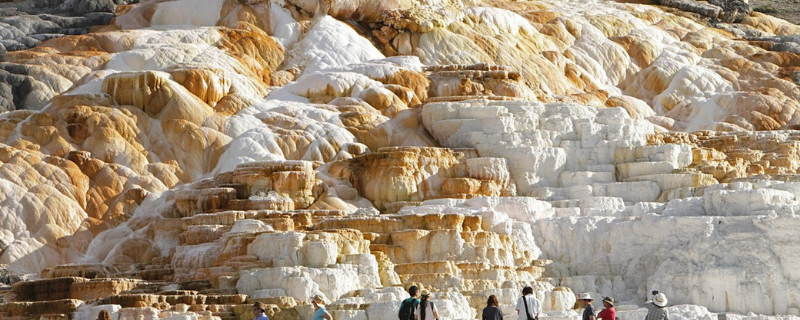 the sulpher covered stacks at mammoth hot springs