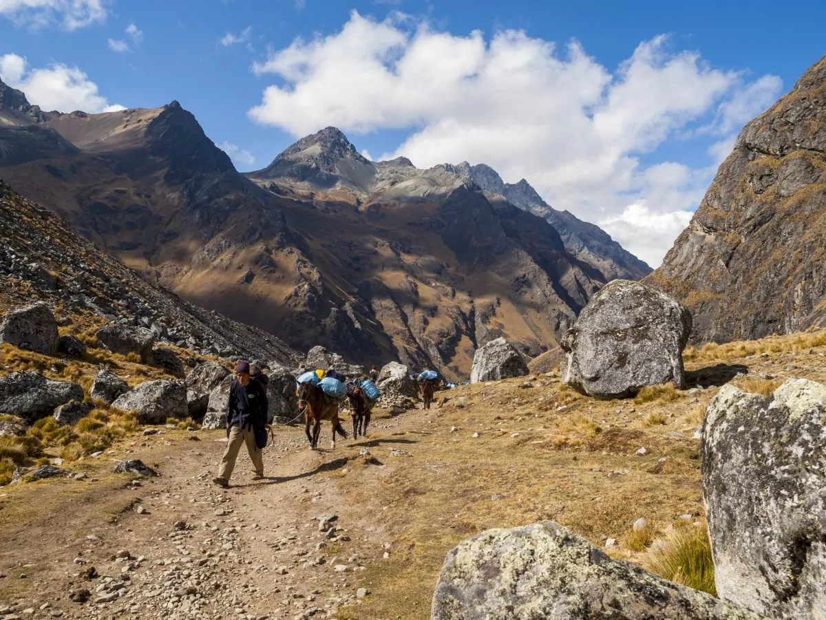 Pack Horses on the Salcantay Trail, Peru, an International trek