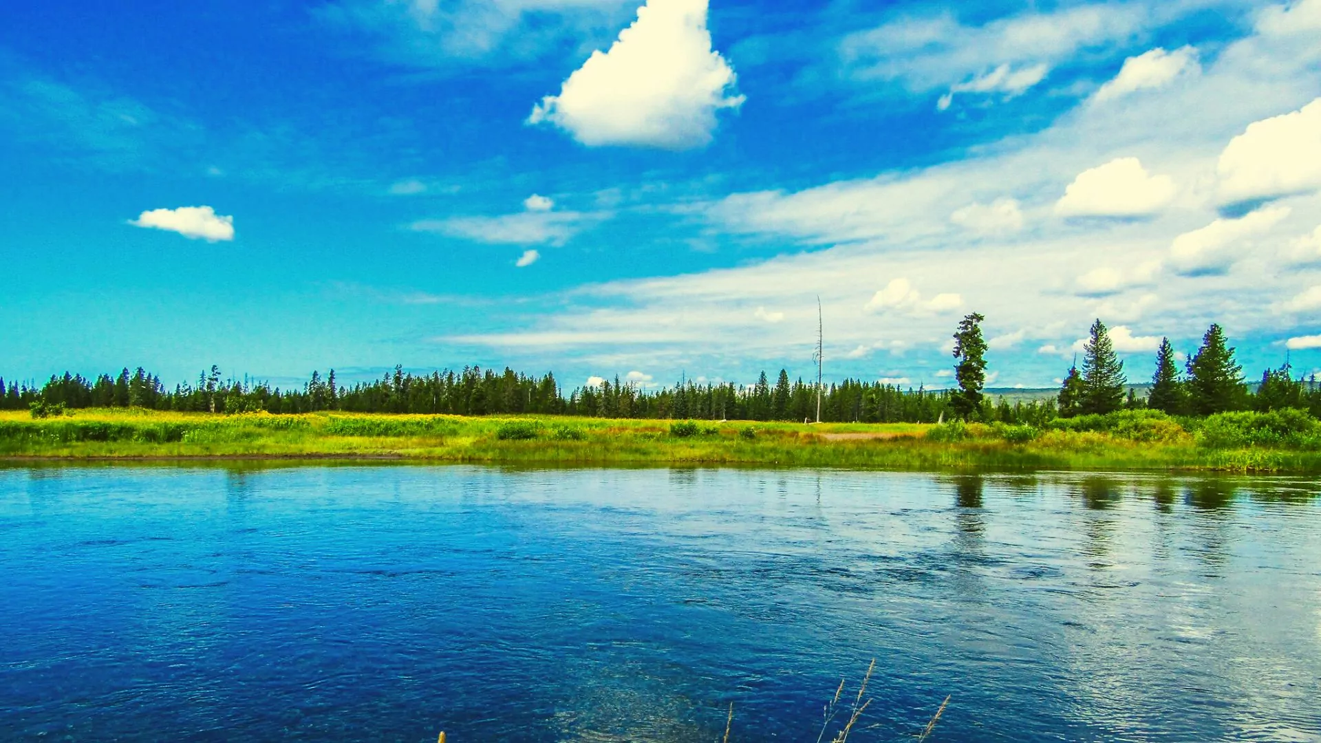 Bechler River Trail Yellowstone