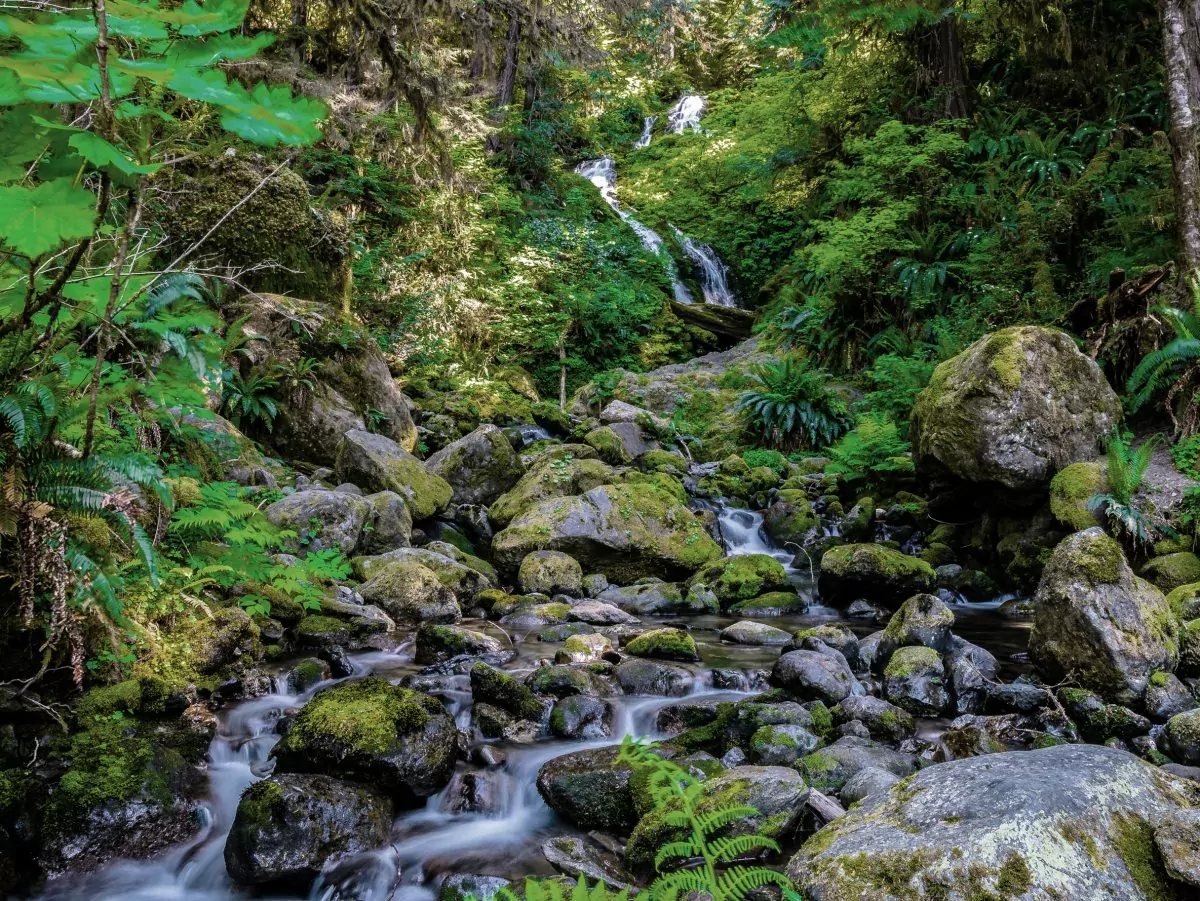 Bunch Falls in Olympic National Park in Washington