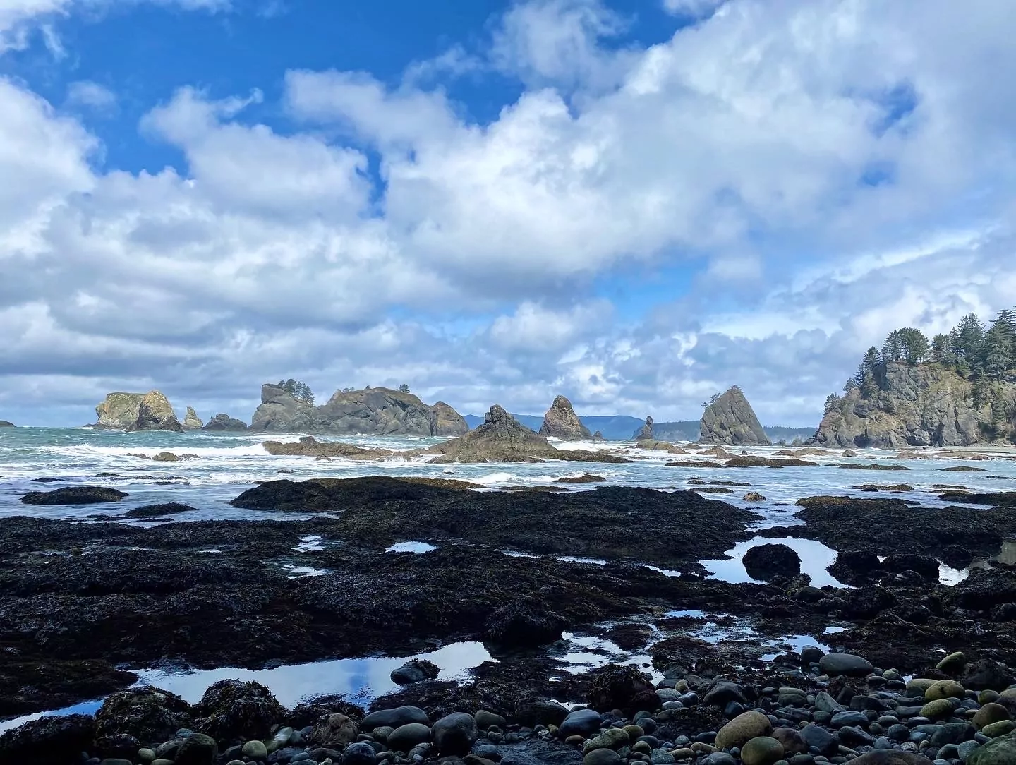 guided backpacking trip to North Route Wild Olympic Coast, trekking and backpacking, best backpacking trips in National parks 