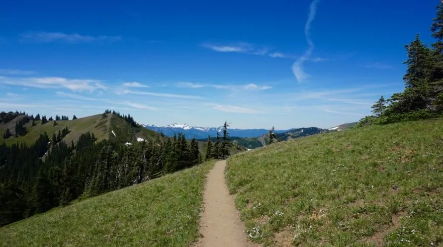 Hurricane ridge hike shop