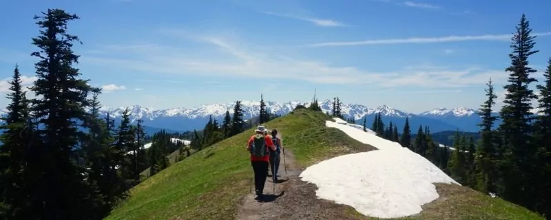 Hikers on grassy trail with snow