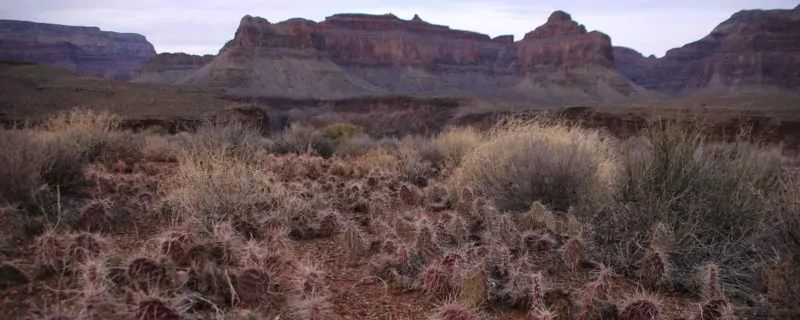 Grand Canyon Hiking Tours
