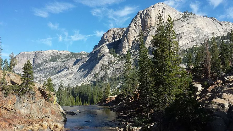 Alpine river with trees and large stone mountains