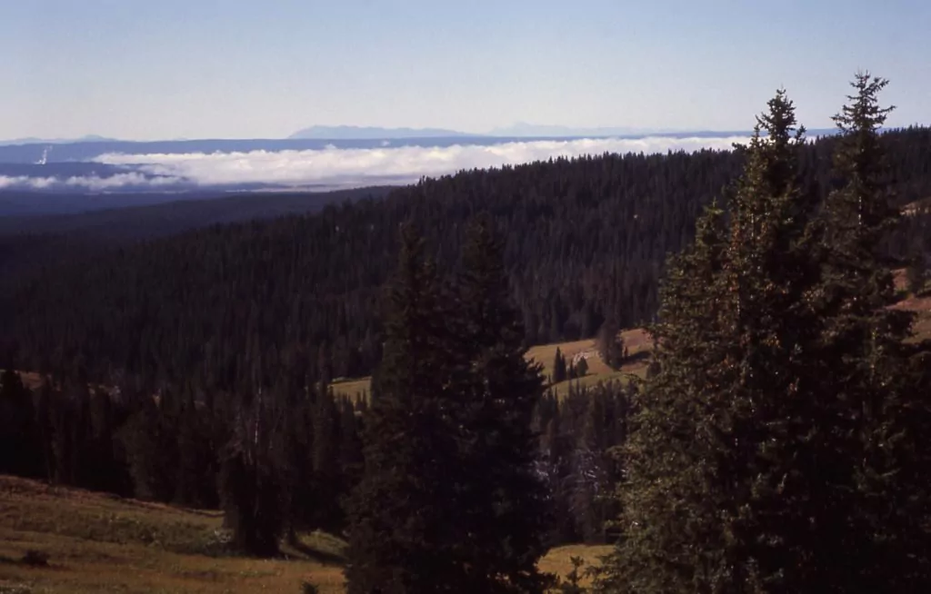 View near Mt Washburn